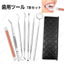 歯用ツール 7本セット 日本国内当日発送 歯石取り デンタルケア 歯間 ヤニ 歯石削り ステンレス 抗菌 歯垢 口臭 予防 しこう取り 口内ケア 専用ケース付き...