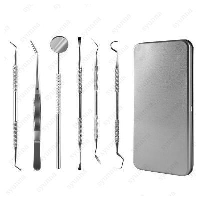 BR8#6本セット 歯科口腔清掃キット 日本国内当日発送 歯用ツール 歯石取り ステンレス 抗菌 ヤニ 歯垢 歯石削り セルルケア しこう取り 歯石除去