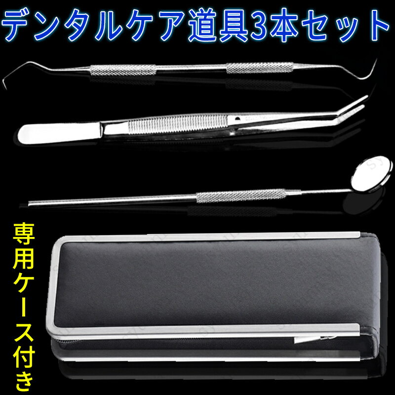 br59#3点セット 歯石取り 専用収納ケース 304 器具 自分で 歯石 ヤニ取り しこう取り 男女兼用 送料無料 プレゼント