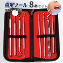br61# 歯科口腔清掃キット 豪華8本セット デンタルツール 専用ケース付き 歯石 歯の清掃ツール プラーク 茶汚れ 送料無料 男女兼用 プレゼント 歯石取り...