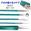 毛穴ケア専用キット (br155#) 日本国内当日発送 2color 5本セット にきび 黒ずみ 角栓取り ピンセット スキンケア ステンレス製 コメドプッシャー ニキビ取り