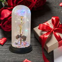 あす楽 クリスマス ギフト プレゼント ギャラクシーローズ 人工カラフルローズフラワー LEDウォームライト付き クリスマス バレンタインデー ガラスドームの美...