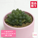 商品画像2