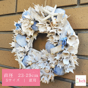 u[Ebh&X^[@[X   O  u[   Lk  VF[X T}[ I[V[Y t[ a Mtg v[g  蕨 O  Ǌ| hA  ̔ LO  22cm 킢 wreath hC CeA