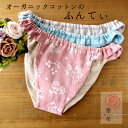 華布のふんてぃ「媛ころも」 女性用ふんどし オーガニックコットン ふんてぃ ふんどしショーツ ふんどしパンツ ステッチ柄 レディース ふんどし女子 おやすみショ...