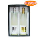 日本心　金箔・銀箔入り吟醸酒セット　720ml2本組　箱付　武田酒造[愛媛県]【送料無料】(沖縄・離島を除く)★お取り寄せ商品（ご配達までの所要日数：5日〜8日）【日本酒】