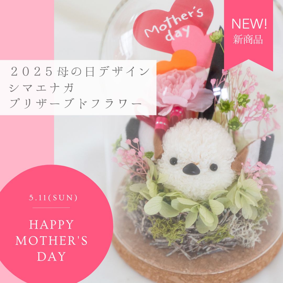 シマエナガ プリザーブドフラワー ドーム 母の日 ギフト プレゼント ドーム型 プリザーブドフラワーギフト そのまま飾れる 花 枯れない花 小鳥 誕生日 結婚祝い 結婚記念日 退職祝い 還暦 開業 開店 かわいい 女性 シマエナガグッズ