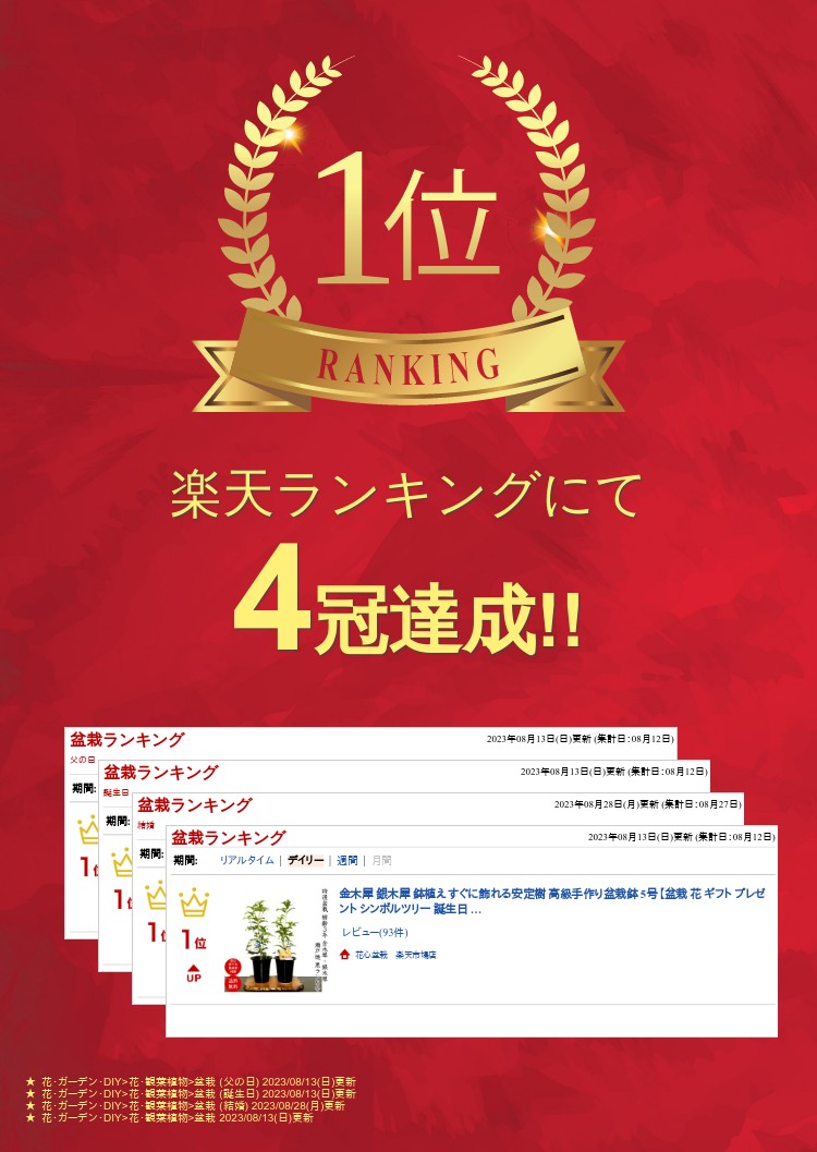 母の日 盆栽 金木犀 銀木犀 鉢植え 楽天1位受賞 すぐに飾れる安定樹【盆栽 花 ギフト プレゼント シンボルツリー 誕生日 ギフト 観葉植物 還暦祝い 結婚記念日祝い】 2