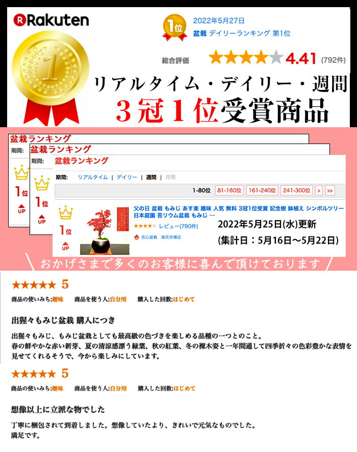 敬老の日 盆栽 もみじ 日時指定可 ラッピング無料 育て方ガイド付 3冠1位受賞 記念樹 鉢植え シンボルツリー 日本庭園 苔リウム盆栽 もみじ 室内 初心者 おしゃれ 花 誕生日 引っ越し 還暦 退職 お祝い 母の日 父の日 プレゼント