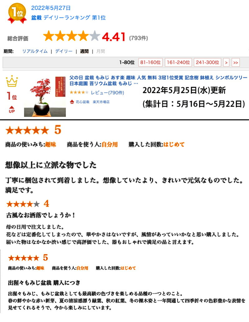 敬老の日 盆栽 もみじ 日時指定可 ラッピング無料 育て方ガイド付 3冠1位受賞 記念樹 鉢植え シンボルツリー 日本庭園 苔リウム盆栽 もみじ 室内 初心者 おしゃれ 花 誕生日 引っ越し 還暦 退職 お祝い 母の日 父の日 プレゼント