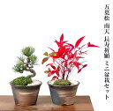 盆栽 松 南天 縁起物 長寿祈願セット ペアギフト【盆栽 松 プレゼント お祝い 癒し 盆栽 松 モダン盆栽 盆栽ギフト あす楽 送料無料 誕生日 プレゼント】