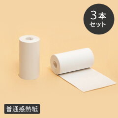 https://thumbnail.image.rakuten.co.jp/@0_mall/hanahaco/cabinet/e_cart1/paperang_ppr_th.jpg