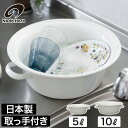 たらい 日本製 琺瑯 5L 10L ホーロー【特典付き】大型 シンプル 桶 ハンドル付き バケツ 洗い桶 野菜洗い 洗濯かご 洗濯物 洗濯 ベビーバス ベッドバ...