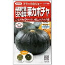 サカタのタネ 実咲野菜1033 カボチャ 長期貯蔵甘み濃厚栗カボチャ ブラックのジョー