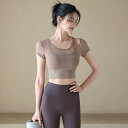 Tシャツ レディース カップ付き 半袖 メッシュ 通気性 ヨガウェア フィットネス スポーツ トレーニング ランニング ジム ウェア トップス ショート丈 ナイ...