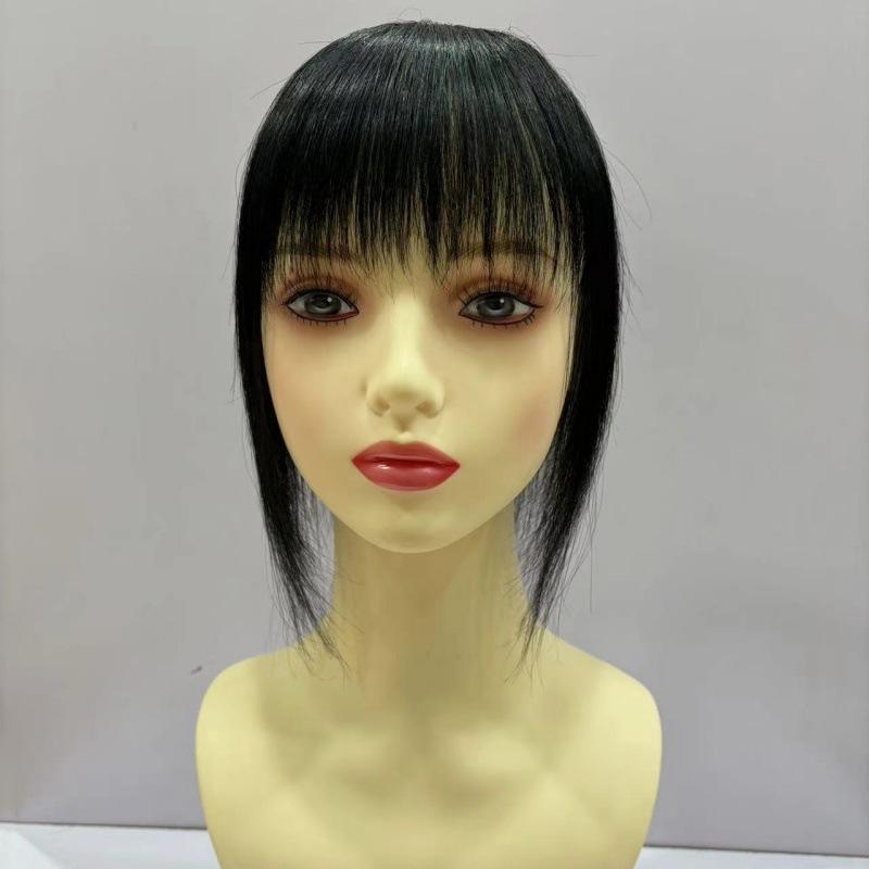 ウィッグ レディース 人毛 ヘアピース 白髪隠し 薄毛対策 ボリュームアップ 頭頂部用 部分ウィッグ ロ..