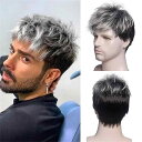 カツラ ウィッグ メンズ 男性用 フルウィッグ ショート カール 自然な ふんわり 耐熱ファイバー ローズネット構造 ブラック グレー