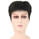 カツラ ウィッグ メンズ 男性用 中高齢者 シニア 人毛100% フルウィッグ ショート 短髪 毛寸 白髪隠し 白髪対策 スキンヘッドカバー 増毛 ボリュームア...