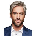 ウィッグ メンズ 中高年 男性用 ショートストレート かつら 自然な仕上がり 耐熱ファイバー製 ダークグレー グラデーション ブラウン 普段使い 薄毛 白髪対策...