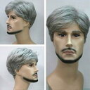 ウィッグ メンズ 中高年 男性向け 白髪風 グレイヘア ショート スタイル 耐熱ファイバー ローズネット 自然な質感 軽量 薄毛隠し 普段使い かつら