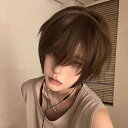 カツラ ウィッグ メンズ 男性用 男の子 少年 和風 ショート 短髪 コスプレ アニメ イベント 仮装 自然な仕上がり リアル ふんわり ボリューム 耐熱ファイバー 日常使い 普段使い ホワイト 黒 ブラウン ピンク