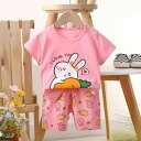 セットアップ ベビー キッズ 男女兼用 半袖 Tシャツ ショートパンツ 2点セット 綿100% コットン 薄手 通気性 快適 動物柄 キャラクター柄 ルームウェア パジャマ 夏 普段使い