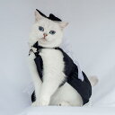ペット用 ワンピース 犬 猫用 韓国風 上品 エレガント レース リボン フリル カメリア キャミソールドレス ポリエステル ピンク 白 黒 黄色 ブルー 春夏...
