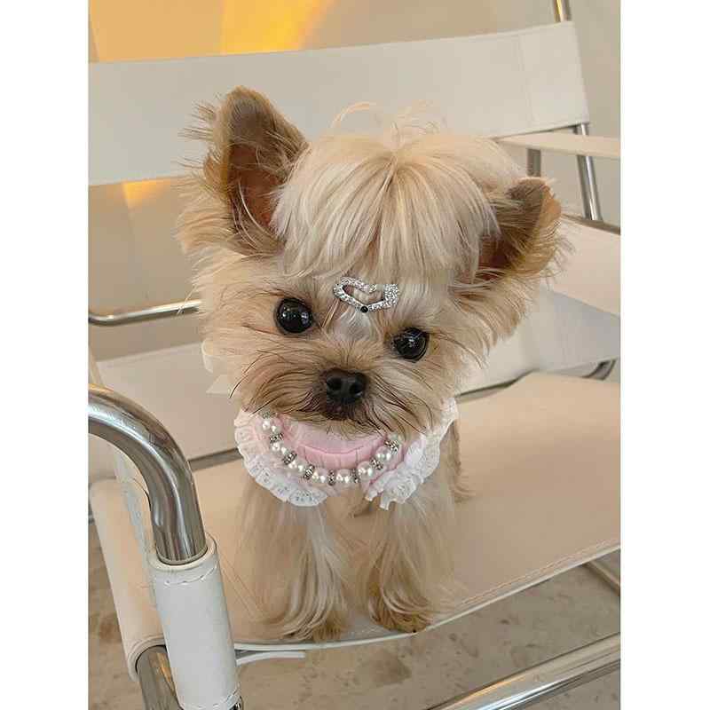 ペット アクセサリー 犬 猫用 ラインストーン 招福ビーズ ネックレス 首輪 飾り メタルチャーム キラキ..