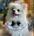 ペット用 スタイ 猫 犬兼用 レース 首輪型 よだれかけ 黒 白 綿ポリエステル 上品 かわいい おしゃれ 小型犬 猫用 ラグドール ビションフリーゼ チョーカ...