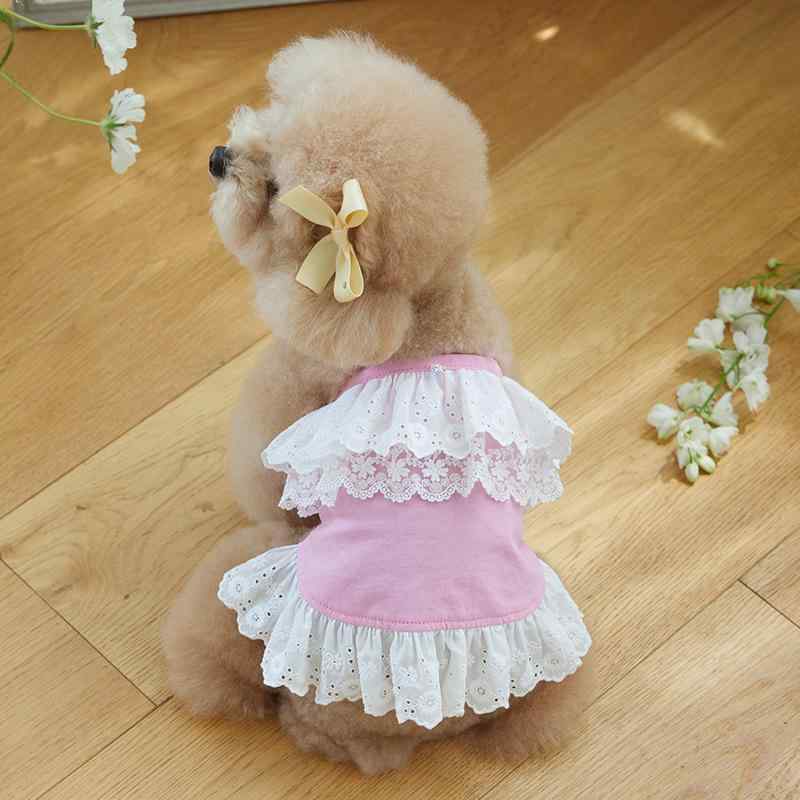 ペットウェア 女の子 犬服 猫服 春夏 レースワンピース ドレス 綿混紡 ピンク ブルー ホワイト 小型犬 中型犬 トイプードル ビションフリーゼ フレンチブルドッグ コーギー シュナウザー用のサムネイル