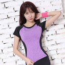 Tシャツ レディース 韓国風 長袖 吸汗速乾 ストレッチ スリム 体型カバー スポーツ ヨガウェア ランニングウェア ジムウェア 普段使い ナイロン 春夏秋(x...