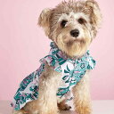 ペット服 猫用 犬用 春夏 インスタ風 民族風 チャイナ風 ワンピース ドレス ペットウェア ポリエステル 白地 青 かわいい お出かけ 普段使い カジュアル