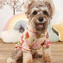 犬猫用ペットウェア フード付き 英字プリント パーカー 春夏 ポリエステル素材 インスタ風 カジュアル お散歩 おしゃれ ドッグ用 キャット用