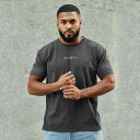 Tシャツ メンズ 半袖 クルーネック オーバーサイズ ビッグシルエット 綿 コットン スポーツ フィットネス ジム トレーニング ランニング バスケットボール カジュアル 吸汗速乾 夏(x2)