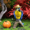 置物 ガーデンオーナメント ミニチュア 秋の動物 オウム 小鳥 カボチャ 樹脂製 感謝祭 収穫祭 庭飾り インテリア雑貨 置き物 オブジェ 欧米風 デコレーション(x2)