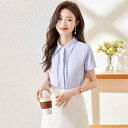 シャツ レディース 女性用 ブラウス 半袖 春夏 スリムフィット 着痩せ効果 オフィス ビジネス 通勤 面接 OL きれいめ 上品 トップス ポリエステル イージーケア(x2)