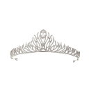 ヘアアクセサリー レディース 韓国風 高級感 花嫁 ティアラ 羽根 ジルコニア プリンセス クラウン 髪飾り ウェディング 結婚式 フォーマル ドレス パーティー 金色 合金 輝き