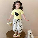 キッズ 女の子 セットアップ 夏 半袖 九分丈パンツ 薄手 防蚊 ドット柄 猫柄 綿 コットンブレンド かわいい おしゃれ 韓国風 子供服 ベビー服