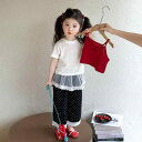 キッズ 女の子 ベビー ドット柄 レース フリル セットアップ 夏 スリーピース 半袖 おしゃれ カジュアル 薄手 柔らか ショートパンツ 綿混 スウィート かわいい