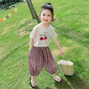 キッズ 女の子 ガールズ 半袖 薄手 セットアップ 綿混 コットンブレンド 虫よけパンツ 2点セット 夏物 おしゃれ カジュアル 普段着 ルームウェア スポーツ 韓国風