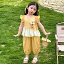 キッズ 女の子 夏服 韓国風 フリル袖 ショートパンツ 2点セット おしゃれ かわいい 薄手 柔らかい 花柄 イエロー グリーン 綿混