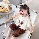 セットアップ キッズ 女の子 カジュアル キャラクタープリント 半袖 ハーフパンツ 上下セット 薄手 綿素材 かわいい お出かけ 普段着 ルームウェア 夏