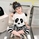 キッズ 男女兼用 ベビー 子供服 半袖 パンダ柄 ストライプ柄 パンツ セットアップ 韓国風 薄手 かわいい カジュアル 普段使い 夏 綿混 ホワイト 2点セット