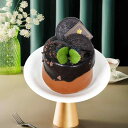 フェイクスイーツ 誕生日ケーキ ティラミス フォンダンケーキ 食品サンプル インテリア置物 撮影用小物 店舗ディスプレイ カフェ装飾 精巧 リアル おしゃれ ヨーロッパ風 デコレーション(x2)|詳細画像