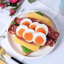食品サンプル オープンサンドイッチ 模型 リアル 精巧 スイーツ パン ディスプレイ 置物 店舗 飲食店 カフェ メニュー 見本 ショーケース 陳列 撮影用 小...
