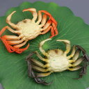 食品サンプル フェイクフード 精巧 本物そっくり 上海蟹 オス メス PVC素材 飲食店ディスプレイ 撮影用小道具 インテリア オブジェ 熟 生(x2)