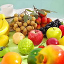 食品サンプル 知育玩具 フェイクフルーツ 野菜模型 プラスチック製 PVC製 フォーム製 リアルな果物 置物 ディスプレイ 早期教育 おもちゃ 撮影小物 小道具 インテリア