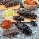 食品サンプル リアル 無垢 ナマコ アワビ フェイク シーフード 魚介類 模型 Sサイズ PVC製 撮影小道具 ディスプレイ 店舗用 飲食店 見本 インテリア オブジェ