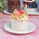 フェイクスイーツ 海塩ケーキ ミニケーキ 食品サンプル フルーツクリーム 精巧 リアル ディスプレイ 撮影小道具 インテリア 飾り 置物(x2)
