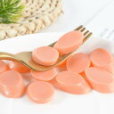 食品サンプル ミニチュア ハム ソーセージ スライス PVC製 おままごと ドールハウス キッチン ディスプレイ 模型 フェイクフード ハンドメイド DIYパーツ 精巧 大人向け コレクション